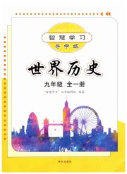 智慧学习导学练九年级历史人教版