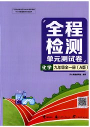 全程检测单元测试卷九年级化学人教版