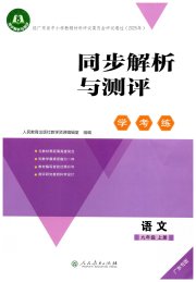 同步解析与测评学考练九年级语文人教版广东专版