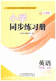 同步练习册山东科学技术出版社六年级英语人教版