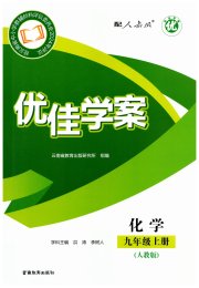 优佳学案（云南）九年级化学人教版