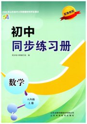 同步练习册山东科学技术出版社八年级数学鲁教版54制