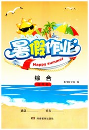 暑假作业湖南教育出版社四年级综合