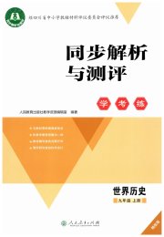 同步解析与测评学考练九年级历史人教版精练版