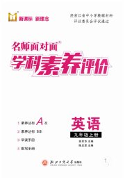 名师面对面学科素养评价九年级英语人教版