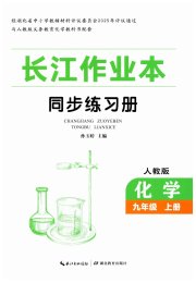 长江作业本同步练习册九年级化学人教版