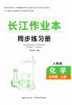 2026年长江作业本同步练习册九年级化学上册人教版