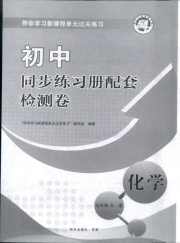 同步练习册配套检测卷九年级化学鲁教版