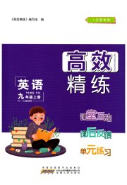 高效精练九年级英语译林版