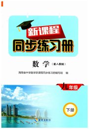 新课程同步练习册九年级数学人教版