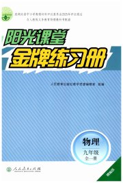 阳光课堂金牌练习册九年级物理人教版精编版