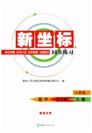新坐标同步练习九年级化学人教版青海专用