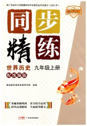 同步精练广东九年级历史人教版