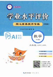 学业水平评价六年级数学人教版