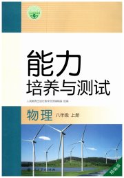 能力培养与测试八年级物理人教版湖南专版