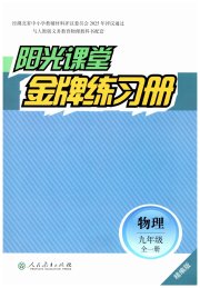 阳光课堂金牌练习册九年级物理人教版精编版