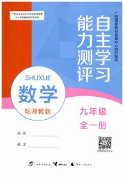 自主学习能力测评九年级数学湘教版