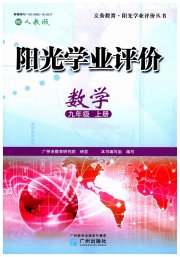 阳光学业评价九年级数学人教版