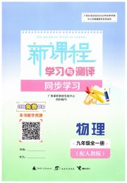 新课程学习与测评同步学习九年级物理人教版