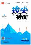 2023年拔尖特训九年级化学上册沪教版