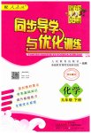 2023年同步导学与优化训练九年级化学下册人教版