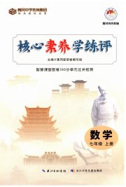 智慧课堂密卷100分单元过关检测七年级数学人教版