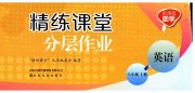 精练课堂分层作业八年级英语人教版