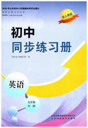 同步练习册山东科学技术出版社九年级英语人教版
