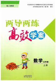 新课标两导两练高效学案五年级数学人教版