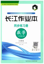 长江作业本同步练习册八年级数学人教版
