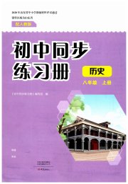 同步练习册大象出版社八年级历史人教版