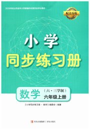 同步练习册青岛出版社六年级数学青岛版