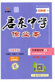 启东中学作业本九年级化学人教版盐城专版