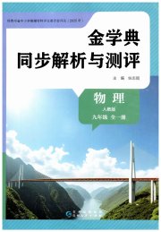 金学典同步解析与测评贵州人民出版社九年级物理人教版