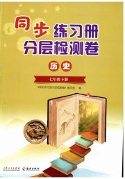 同步练习册分层检测卷七年级历史人教版