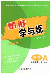 精准学与练九年级科学浙教版