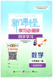 新课程学习与测评同步学习九年级数学湘教版