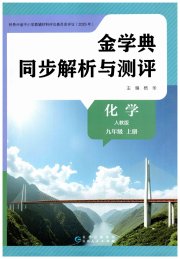 金学典同步解析与测评贵州人民出版社九年级化学人教版