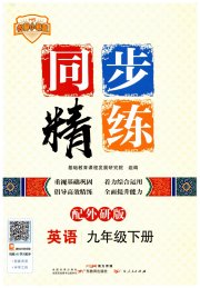 同步精练广东人民出版社九年级英语外研版