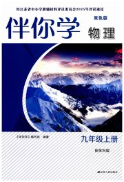 伴你学九年级物理苏科版