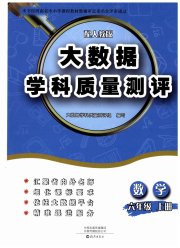 大数据学科质量测评六年级数学人教版