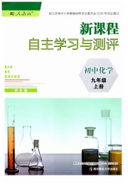 新课程自主学习与测评初中化学九年级人教版