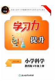 学习力提升六年级科学教科版