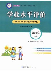 学业水平评价九年级数学人教版
