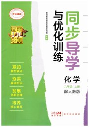 同步导学与优化训练九年级化学人教版