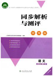 同步解析与测评学考练九年级语文人教版广东专版