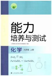 能力培养与测试九年级化学人教版