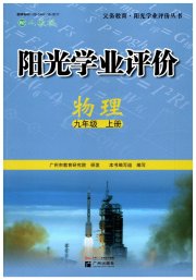 阳光学业评价九年级物理人教版