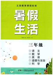 暑假生活湖南少年儿童出版社三年级语数综合