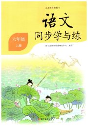 同步学与练六年级语文人教版河南专版